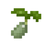Cauliflower Seed