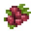 Raspberry
