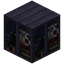 Black Cat Purple Bookshelf