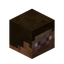 Player Head
