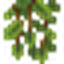 Glow Berries