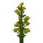 Silphium