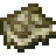 Rotten Spell Book