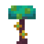 Warped Aura Fungus