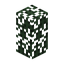 Spruce Hedge