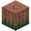Overgrown Pimpkin