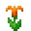 Mystical Orange Flower