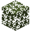 Redwood Leaves