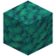 Patched Warped Wart Block