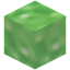 Slimy Delight Planks