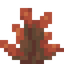 Red Bearberries