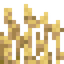Barley