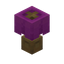 Magenta Lamp