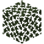 Birch Leaves