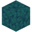 Horn Coral Block