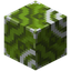 Green Glazed Terracotta