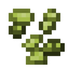White Taiga Grape Seeds