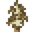 Brown Birch Sapling