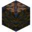 Jungle Log 8x