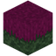 Enderslime Grass