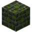 Mossy Verdant Bricks