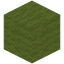 Conifer Wool