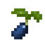 Blueberry Seed