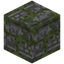 Blank Mossy Cobblestone Carving