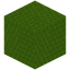 Scaled Lime Wool