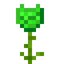 Peridot Glowrose