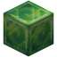 Block of Experience