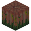Overgrown Pimpkin