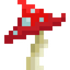 Wicked Red Mushroom