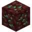 Nether Green Sapphire Ore