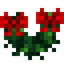 Vine Garland
