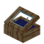 Blue Pine Display Case