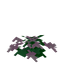 Pink Tulip Pile