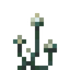 Phosphor Fungus