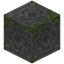 Loded Mossy Stone Bricks