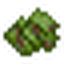 Biomass