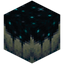 Sculk Catalyst
