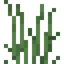 Tall Grass