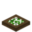Leafy Spruce Trapdoor