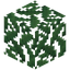 Mago Berry Leaves