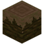 Damaged Jungle Log