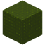 Knitted Green Wool