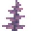 Mauve Fern