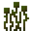 Warped Roots