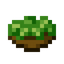 Leafy Salad
