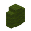 Green Wool Wall
